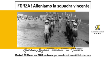 Alleniamo la Squadra Vincente