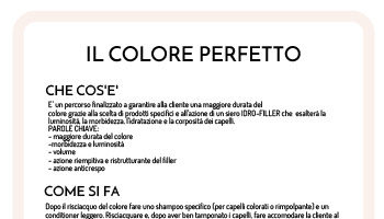 Scheda Tecnica Colore Perfetto