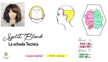 Scheda Colore Split Blend