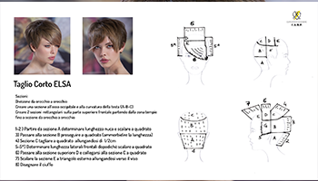 Taglio Elsa – Collezione Colorama