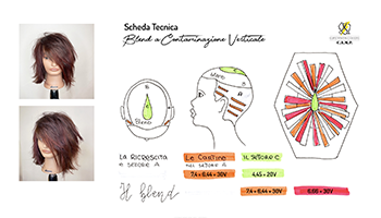 Scheda Tecnica Blend a Contaminazione Verticale