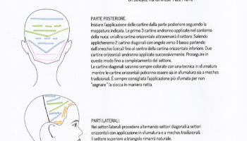 Scheda Tecnica Colore Caramello Biondo Fragola