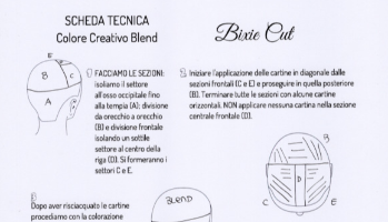 Colore Bixie Cut (scheda tecnica)